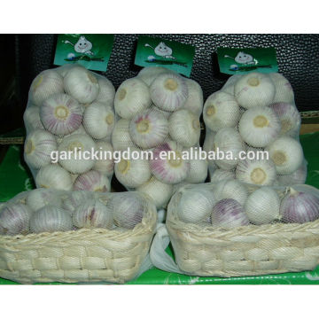 White Garlic/Fresh garlic price China/Natural garlic bulb